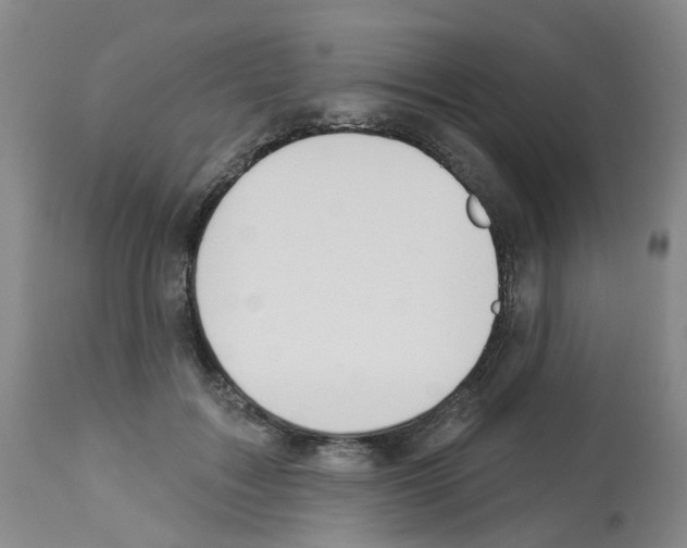 X0000112940603200910051157