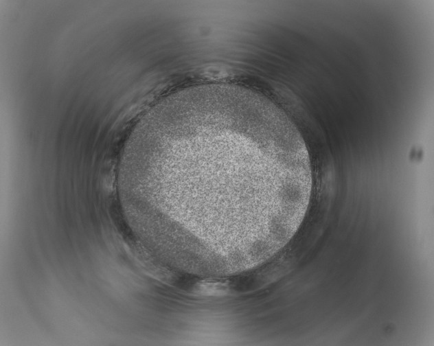 X0000112940606200910051157