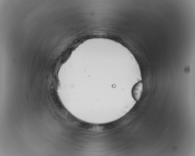 X0000112940609200910051157
