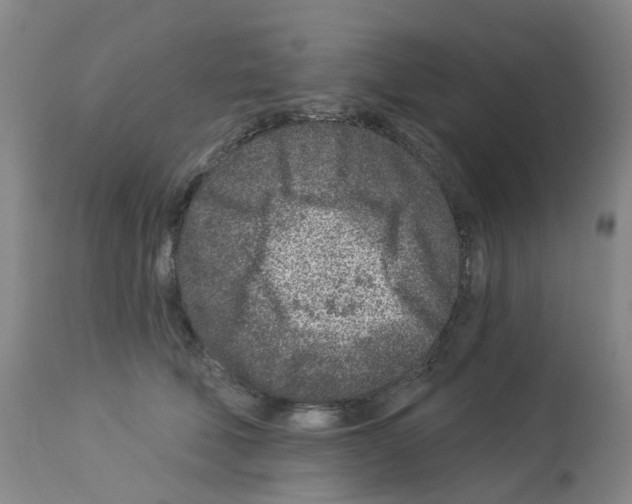 X0000112940610200910051157