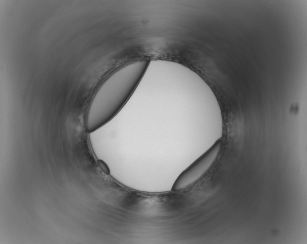 X0000112940611200910051157