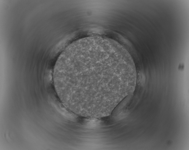 X0000112940621200910051157