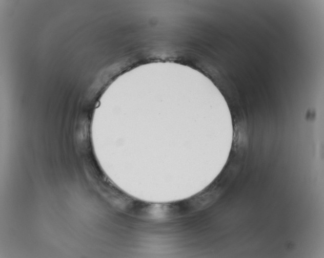 X0000112940623200910051157