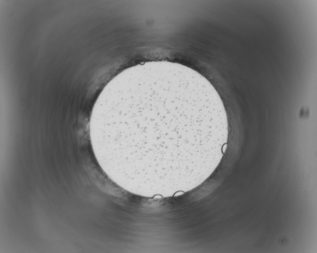 X0000112940624200910051157