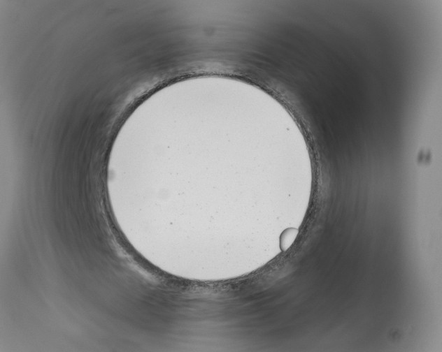 X0000112940625200910051156