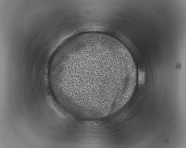 X0000112940627200910051156