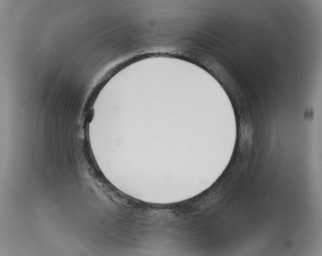 X0000112940628200910051156