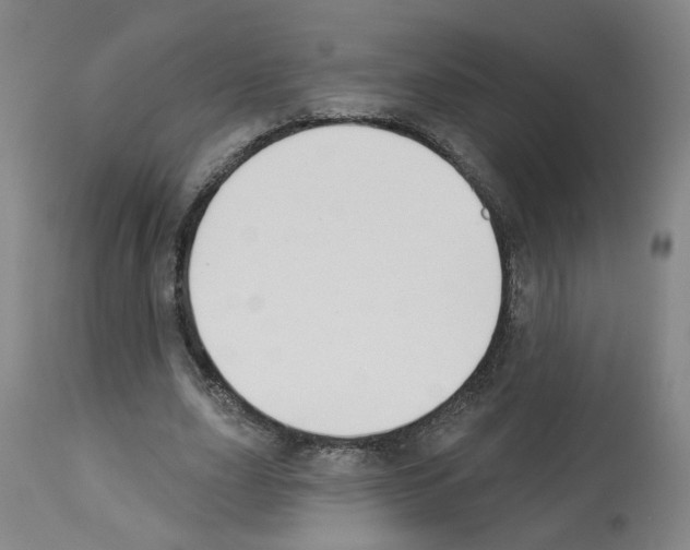 X0000112940631200910051156