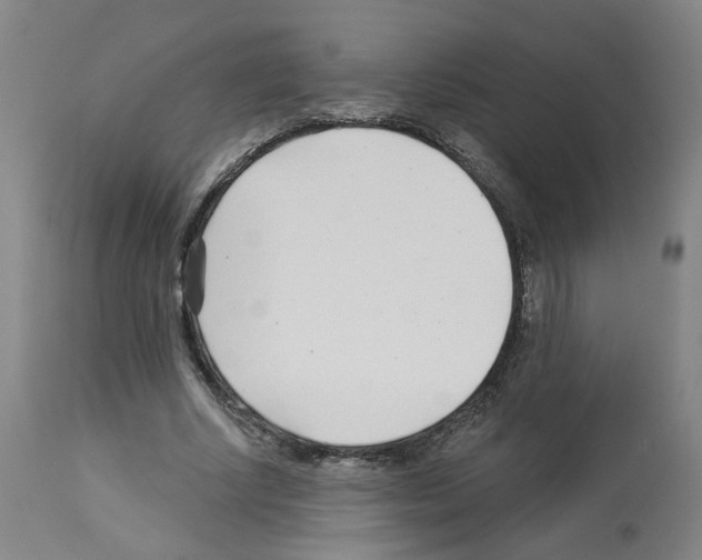 X0000112940634200910051156