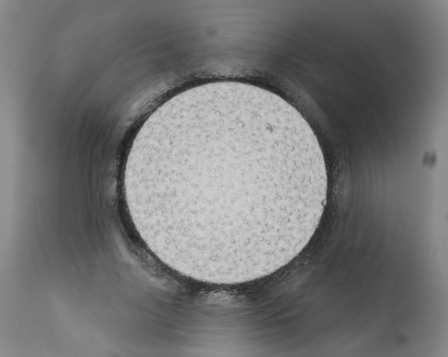 X0000112940635200910051156