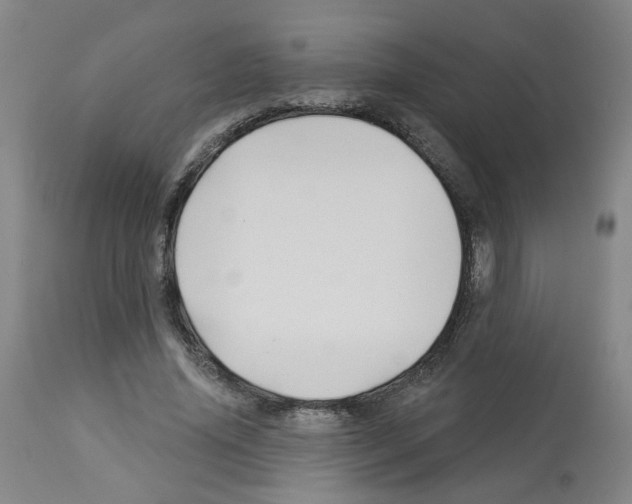 X0000112940636200910051156