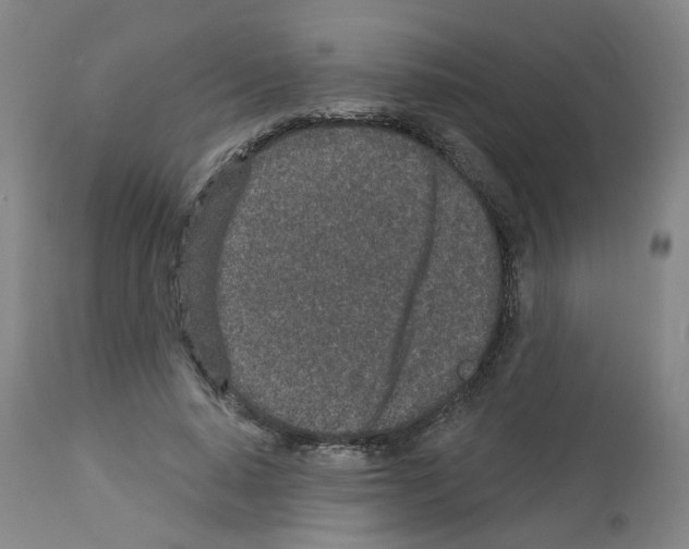 X0000112940640200910051156