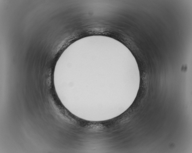 X0000112940642200910051156