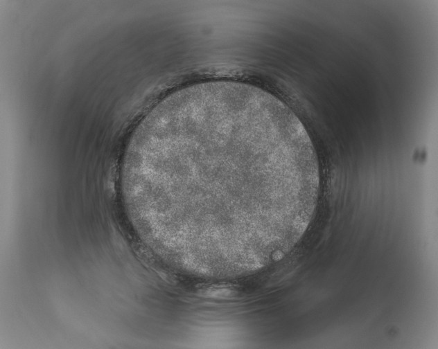 X0000112940643200910051156