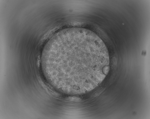X0000112940644200910051156