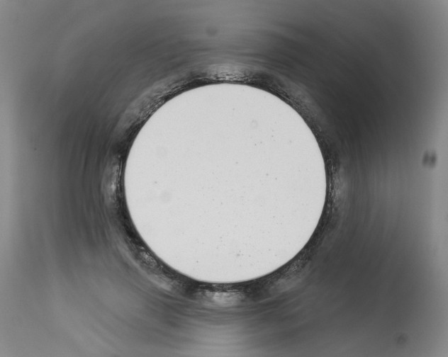 X0000112940645200910051156