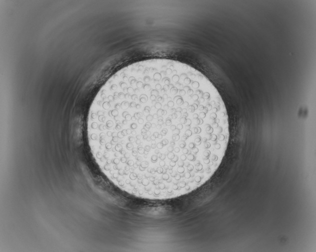 X0000112940646200910051157