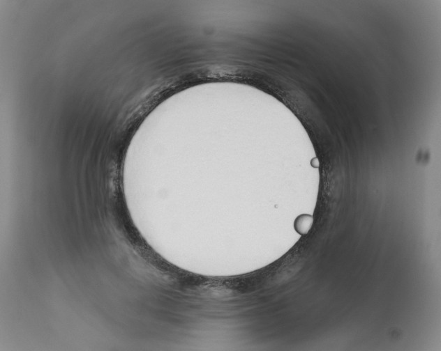 X0000112940648200910051157