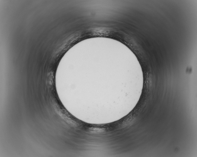 X0000112940649200910051157