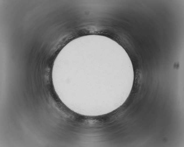 X0000112940650200910051157