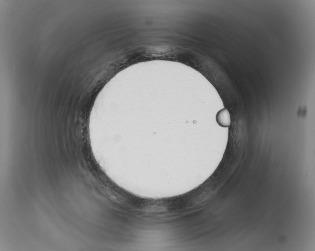 X0000112940653200910051157