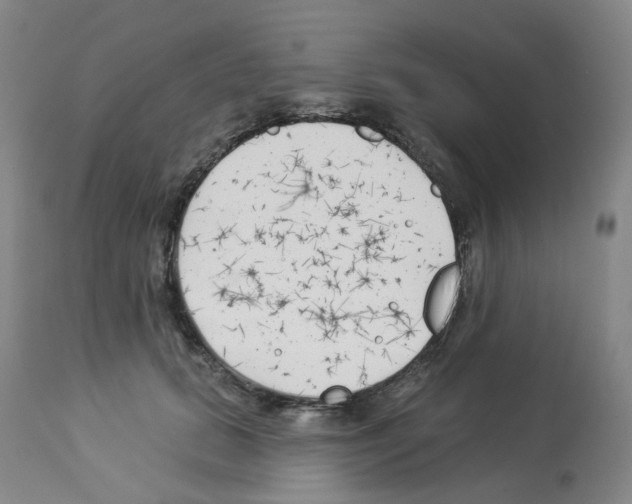 X0000112940655200910051157