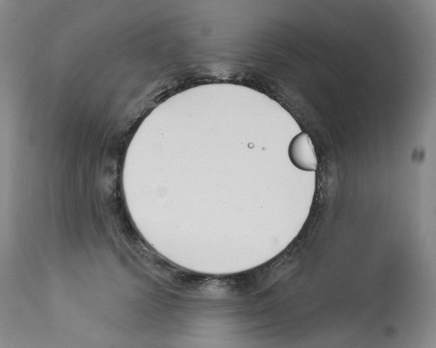 X0000112940656200910051157