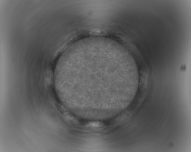 X0000112940659200910051157