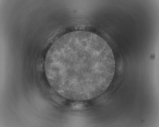 X0000112940661200910051157