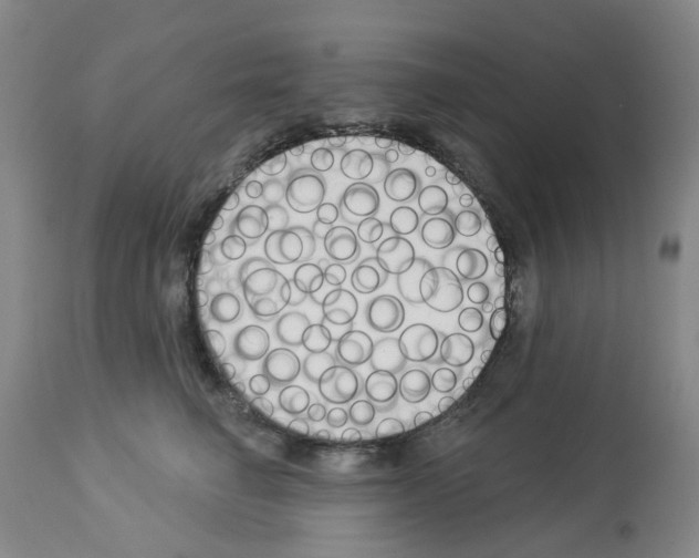 X0000112940662200910051157