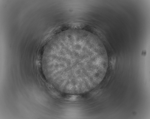 X0000112940663200910051157