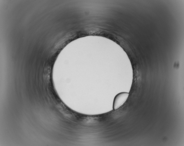 X0000112940664200910051157
