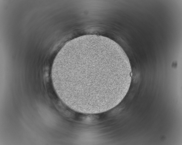 X0000112940670200910051157