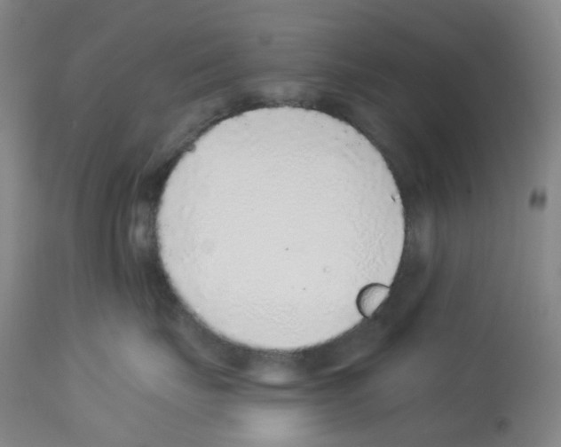 X0000112940671200910051157