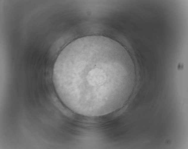 X0000112940672200910051157