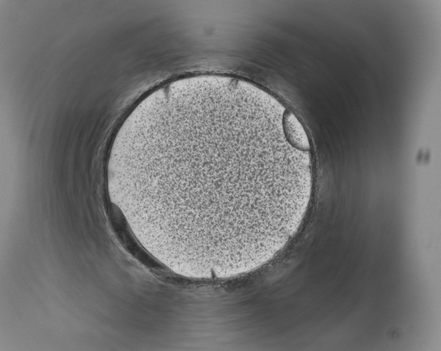 X0000112940673200910051156