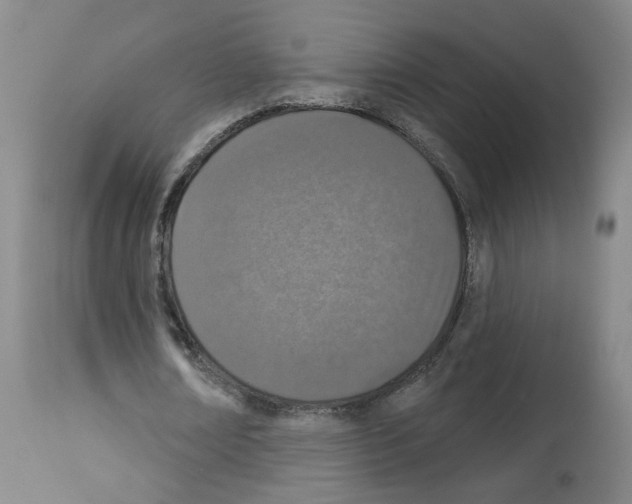 X0000112940674200910051156
