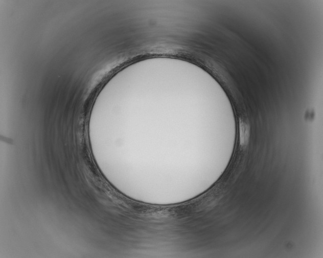 X0000112940675200910051156