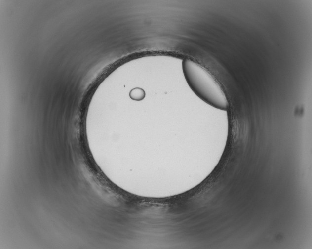 X0000112940676200910051156