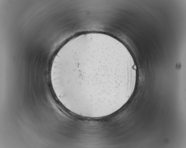 X0000112940677200910051156