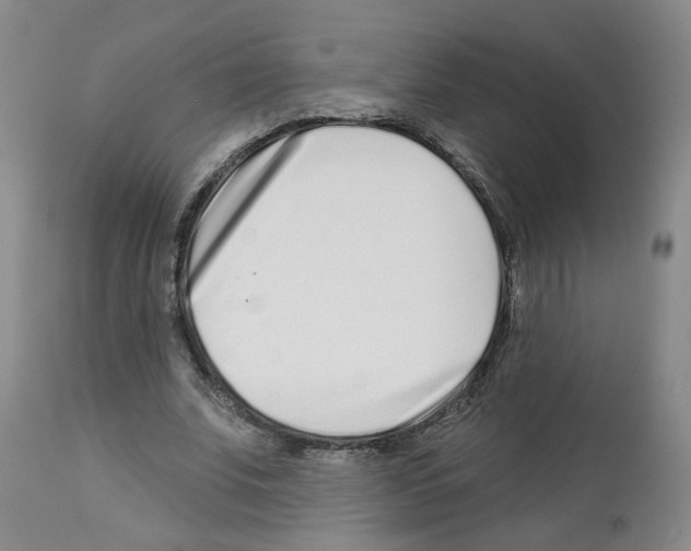 X0000112940679200910051156