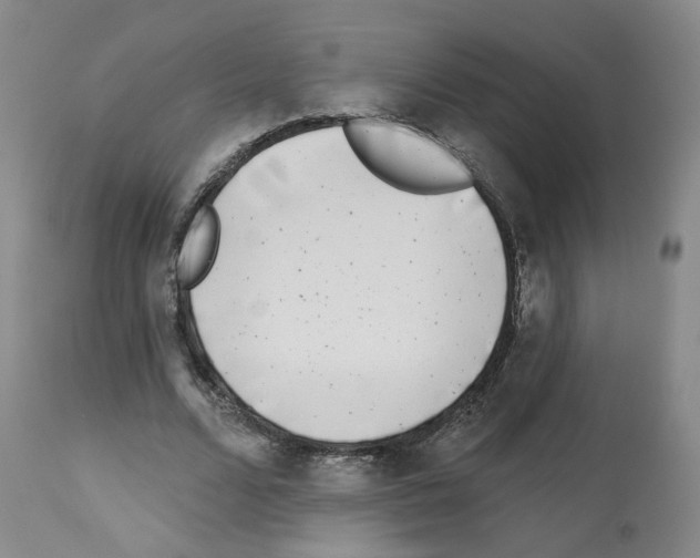X0000112940680200910051156
