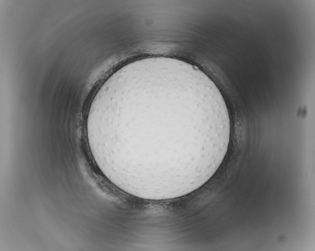 X0000112940682200910051156