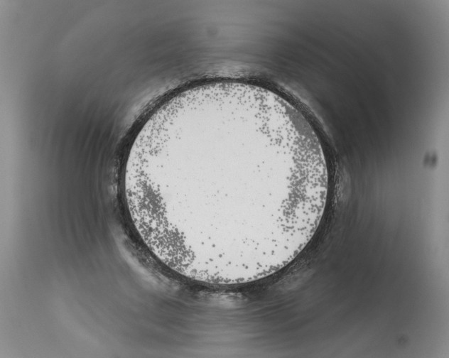 X0000112940683200910051156