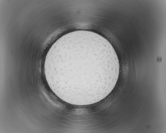 X0000112940686200910051156