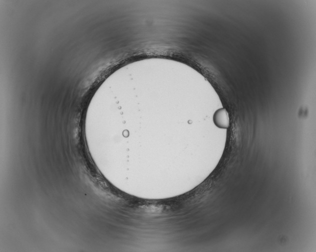 X0000112940687200910051156