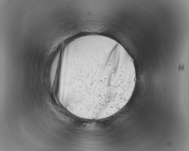 X0000112940688200910051156