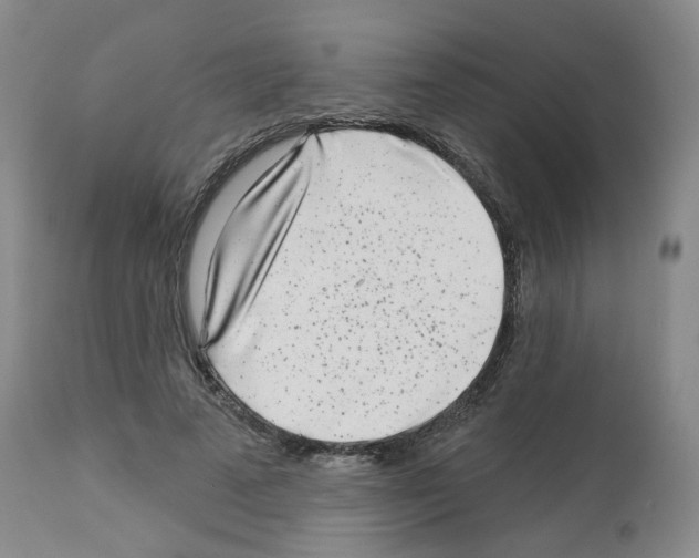 X0000112940689200910051156
