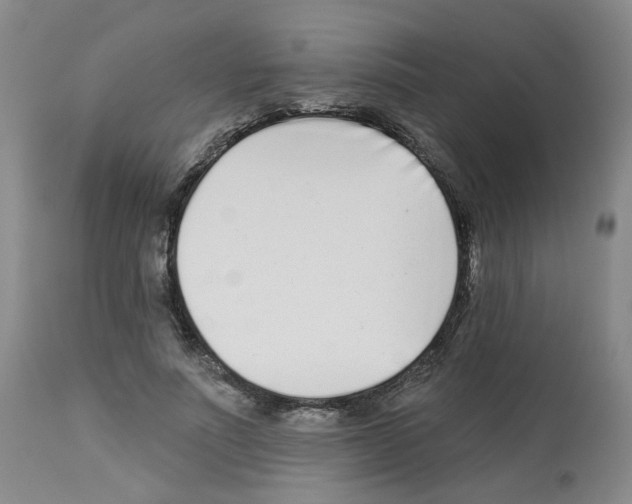 X0000112940691200910051156