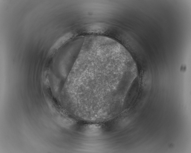 X0000112940692200910051156